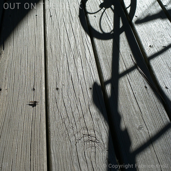 out-on-the-deck-3