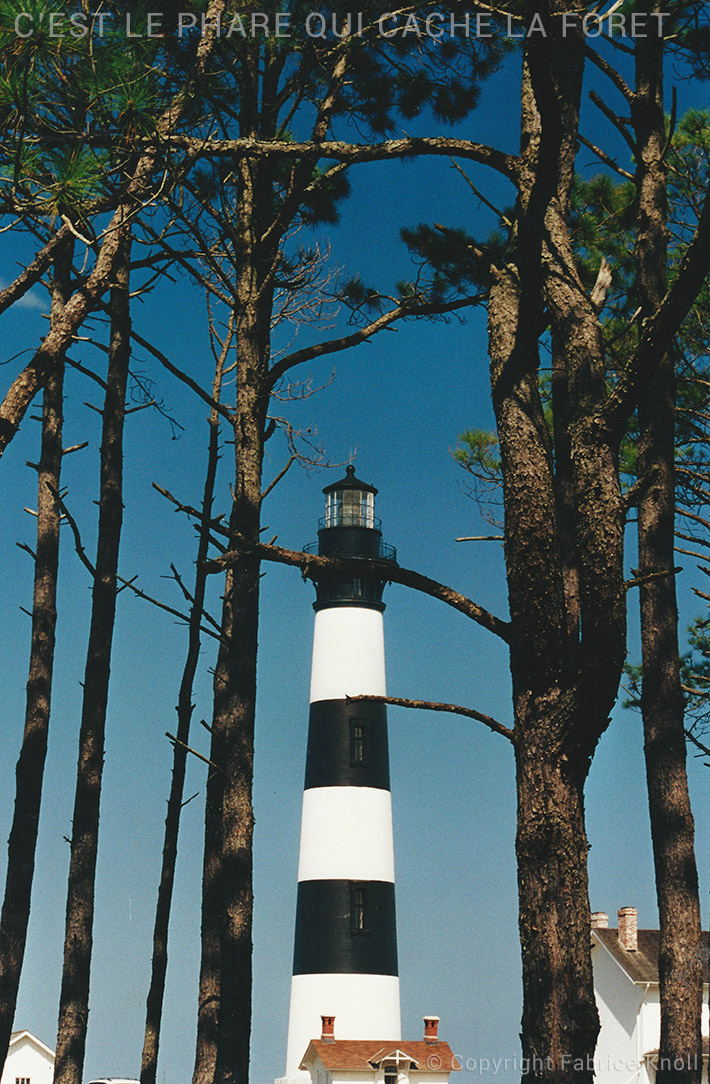 c'est le phare qui cache la foret