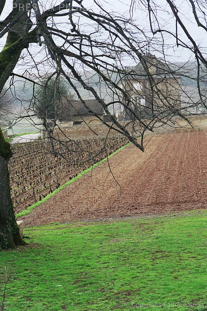 051-apres-la-pluie