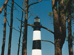 C’est le phare qui cache la forêt 