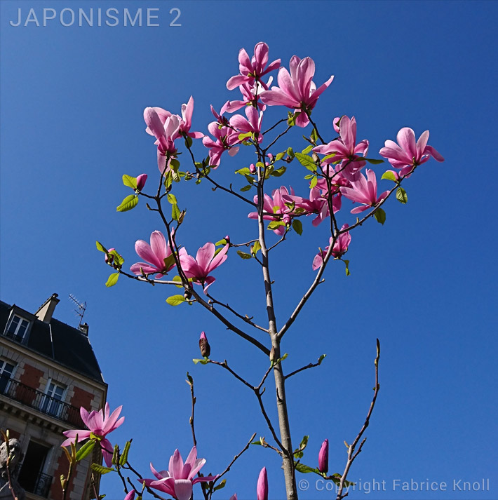 085-japonisme-2